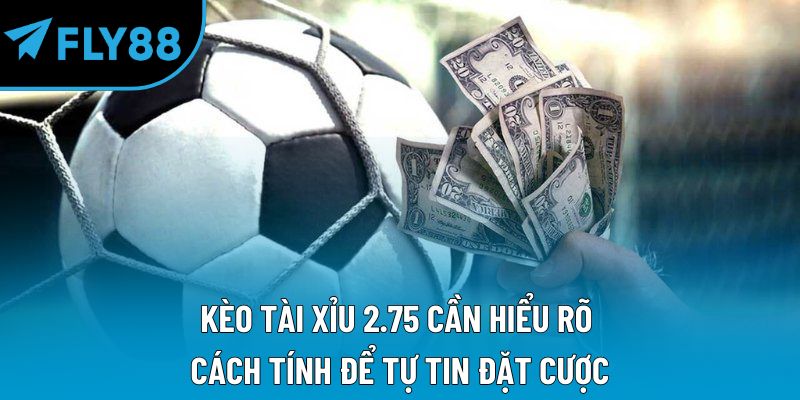 Kèo tài xỉu 2.75 cần hiểu rõ cách tính để tự tin đặt cược